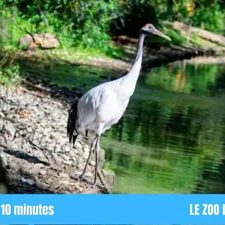 아파트 Cosy Gare Equipe Wifi Netflix 2pers 아미앵